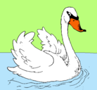 Dibujo Cisne en el agua pintado por rakel82