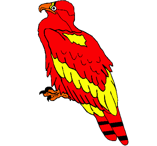 Águila