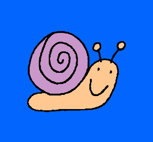 Caracol 4