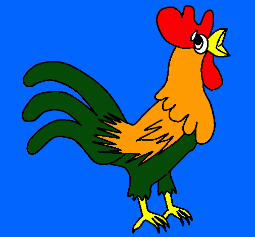 Gallo