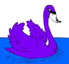 Dibujo Cisne en el agua pintado por heri