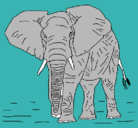 Dibujo Elefante pintado por TORO