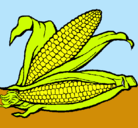 Dibujo Mazorca de maíz pintado por mbusbuni