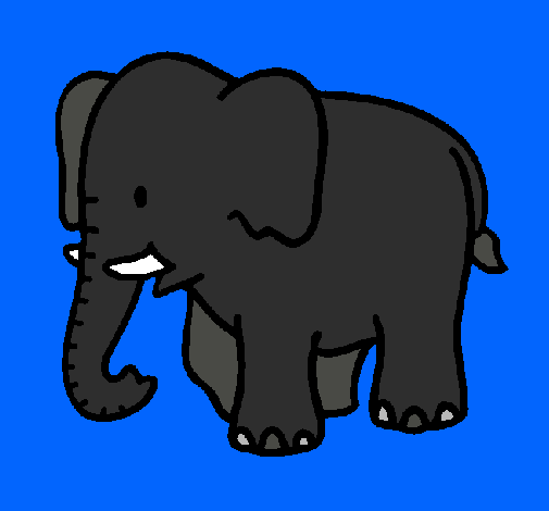 Elefante bebe