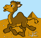 Dibujo Camello pintado por arantxaa
