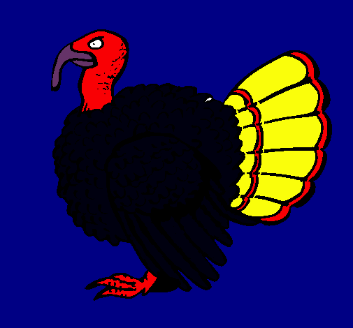 Pavo 