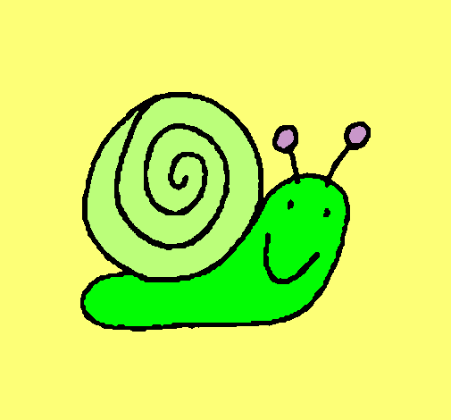 Caracol 4