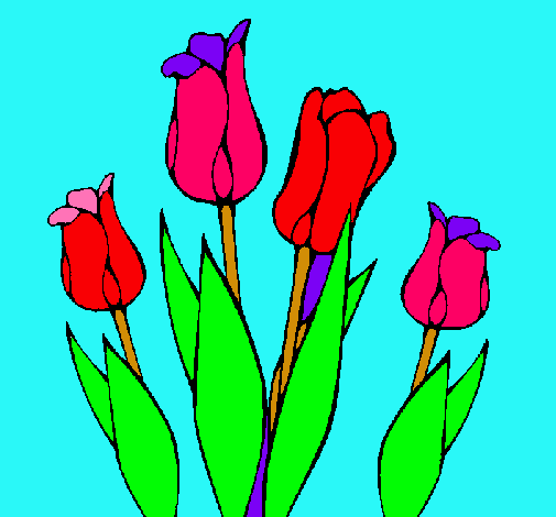 Tulipanes