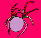 Dibujo Araña venenosa pintado por sonsoles2