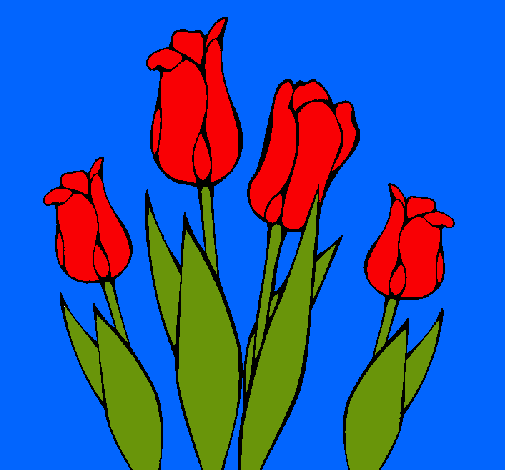 Tulipanes