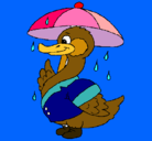 Dibujo Pato bajo la lluvia pintado por Regis