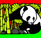 Dibujo Oso panda y bambú pintado por clau24