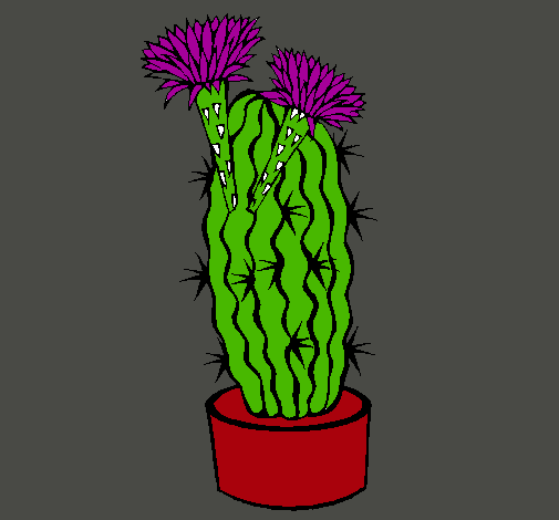 Cactus con flores