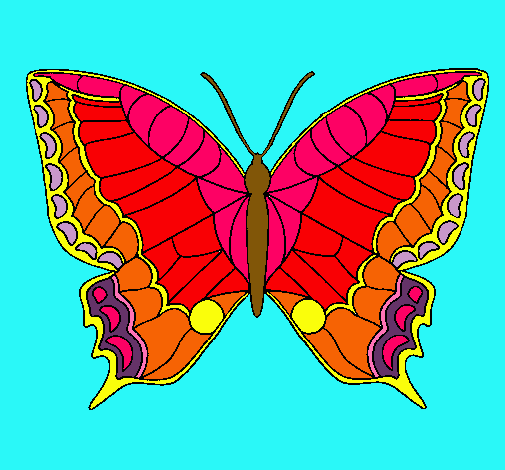 Mariposa