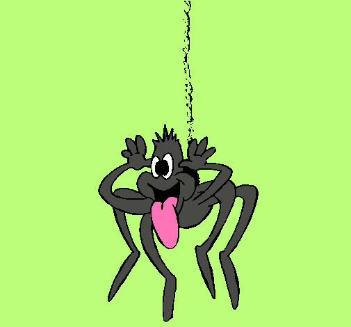 Araña burlona