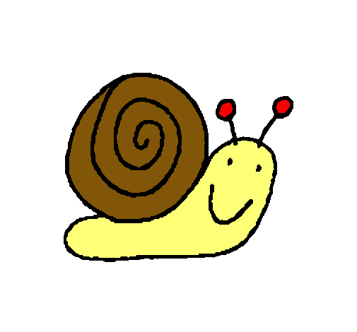 Caracol 4