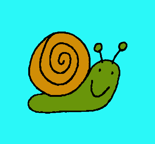 Caracol 4