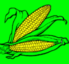 Dibujo Mazorca de maíz pintado por MASORCA