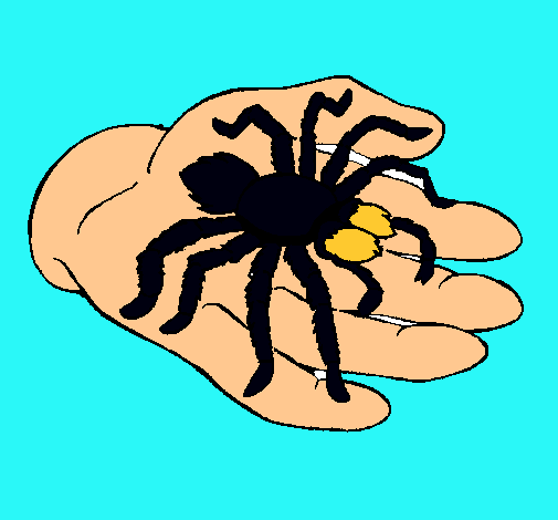 Tarántula