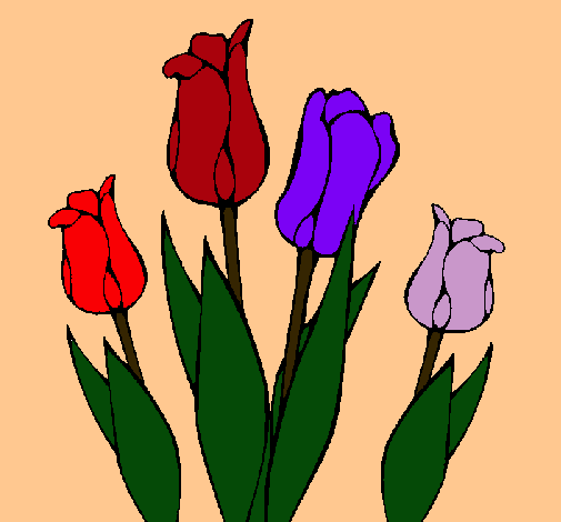 Tulipanes