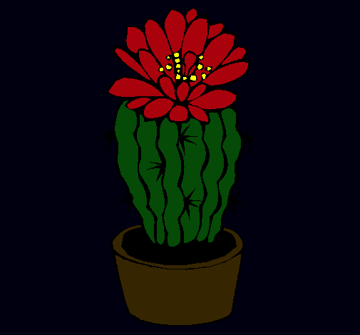 Cactus con flor