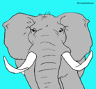 Dibujo Elefante africano pintado por rafael6