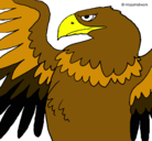 Dibujo Águila Imperial Romana pintado por ositha