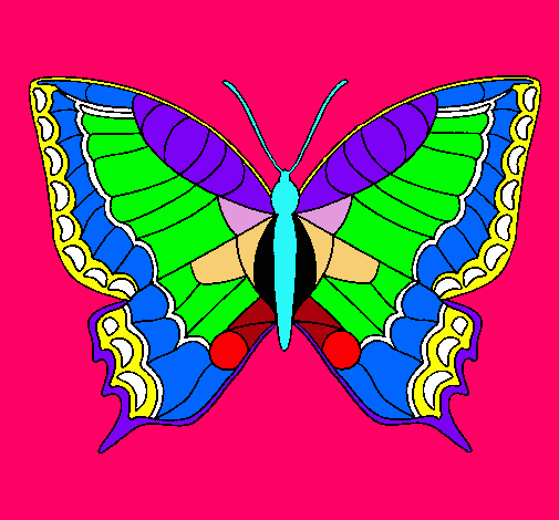 Mariposa