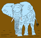 Dibujo Elefante pintado por joztan