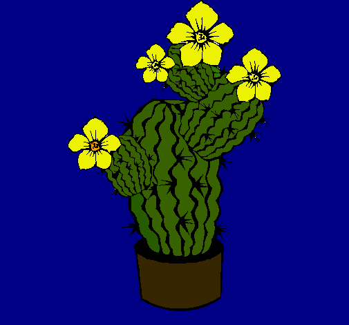 Flores de cactus