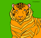 Dibujo Tigre pintado por emile