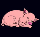 Dibujo Cerdo durmiendo pintado por angie2448