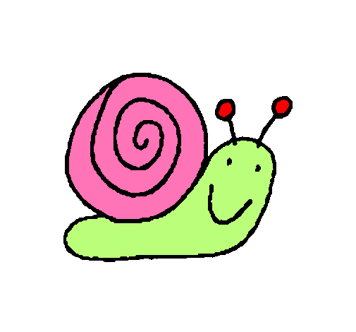 Caracol 4