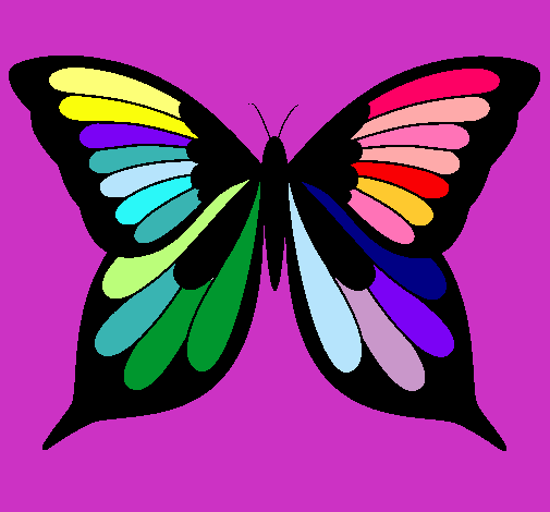 Dibujo Mariposa pintado por COLOMBA