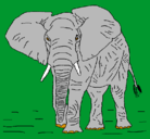 Dibujo Elefante pintado por gysse