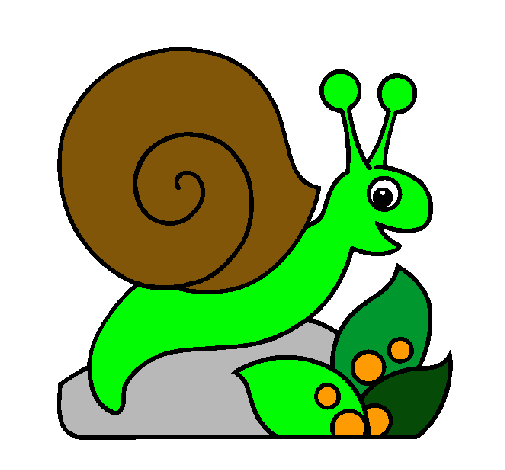 Caracol