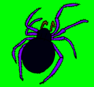 Dibujo Araña venenosa pintado por porque