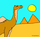 Dibujo Camello pintado por eritx