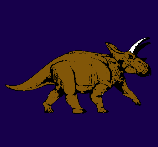 Triceratops