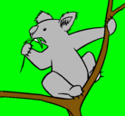 Dibujo Koala pintado por calandrilo