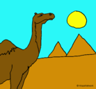 Dibujo Camello pintado por babbbb