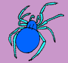 Dibujo Araña venenosa pintado por ramses
