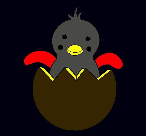 Pollito