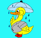 Dibujo Pato bajo la lluvia pintado por dilan