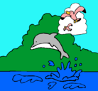 Dibujo Delfín y gaviota pintado por biankita1