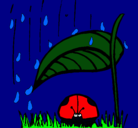 Dibujo Mariquita protegida de la lluvia pintado por miche1231275