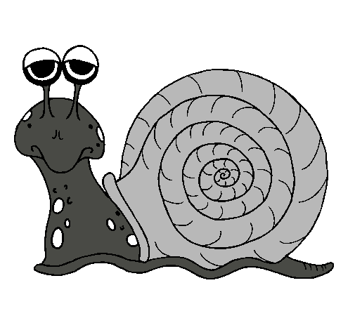 Caracol