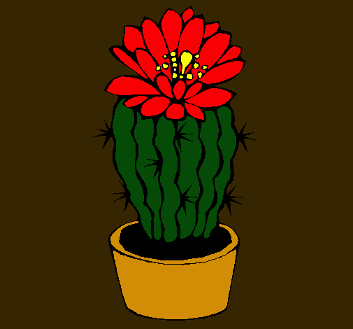 Cactus con flor