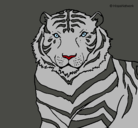 Dibujo Tigre pintado por SebaGBarton