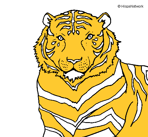 Tigre